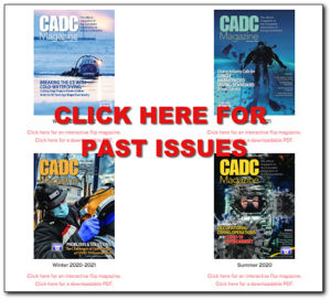 PAST ISSUES
